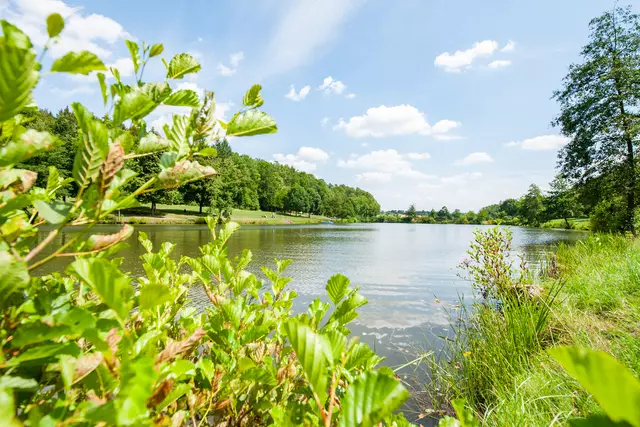 Schleierhofer See